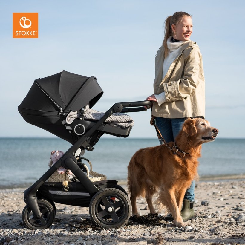 passeggino-stokke-trailz