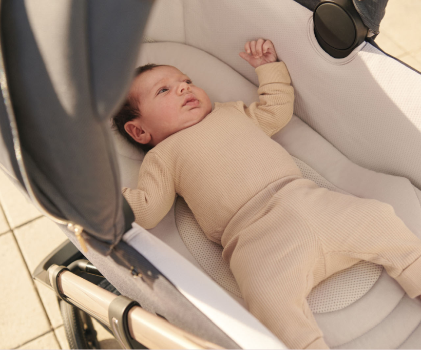 navicella xl inglesina