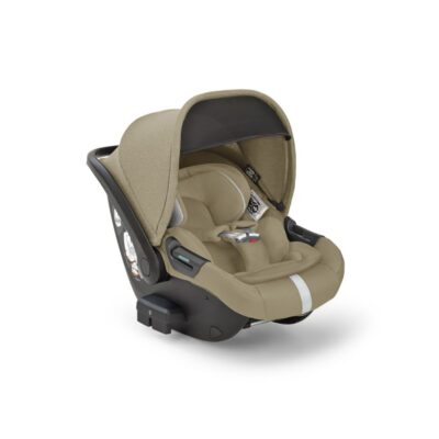 inglesina darwin infant recline