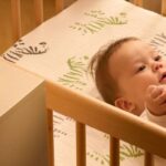 Migliori prodotti momcozy